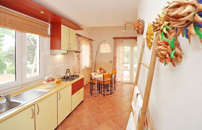 Dino - Gorgeous Garden - SA2 Jelsa - Photo 4