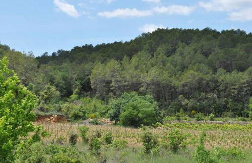 Lou Colibri - Foto 21