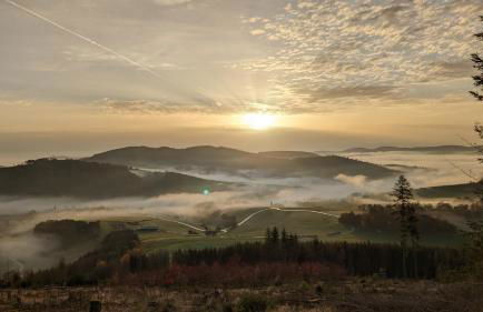 Ferienwohnung im Hambach - Foto 12