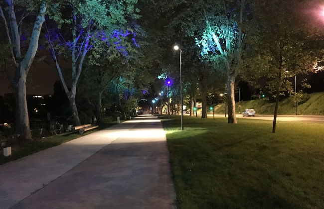 Boat For Guest - Foto 27