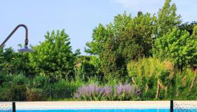 Maison de vacances en Vaison Ventoux - Foto 3