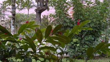 Vila Santo Toque - Garden House - Foto 3