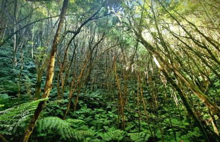 CASITA DA DOCTORA - Foto 60