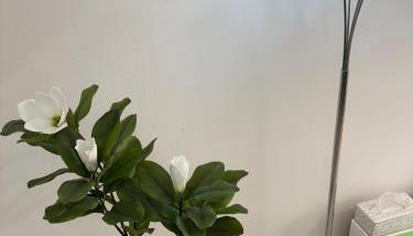 Casa Estrella Fuerteventura - Photo 5