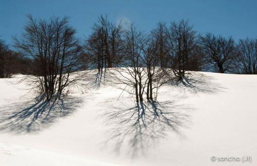 Tana di Zia Nature, Yourself, Love - Foto 45