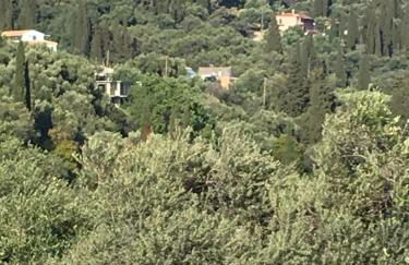 Villa Stephanie - Foto 31