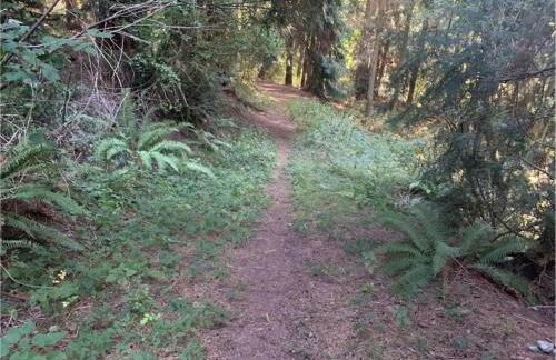 Perch - Rhododendron Loft - Foto 34