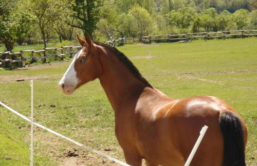 Apartamentos Cañardo Autural - Photo 8