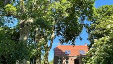 Deichgraf Emden - Foto 3