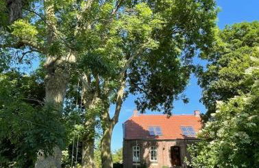 Deichgraf Emden - Foto 3