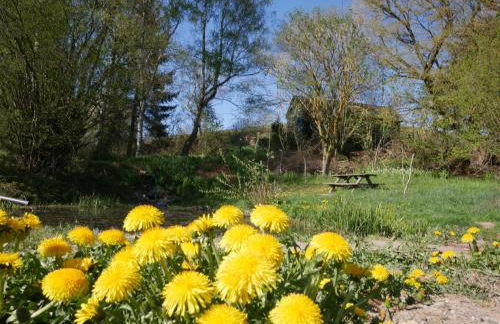 Waldläufer Brilon - Foto 65