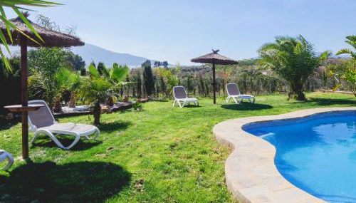 Cubo's Greenlife House - Photo 4