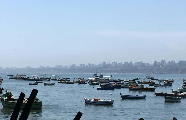 Visite du marché de Chorrillos + Cours de cuisine péruvienne - Photo 4