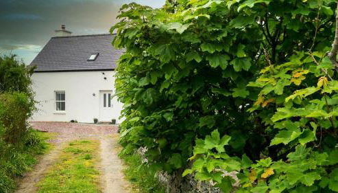 The Gun Room - Foto 3