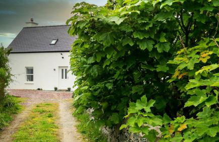 The Gun Room - Foto 3