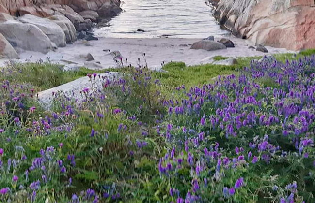 9 Person Holiday Home in Tjodalyng-by Traum - Foto 19