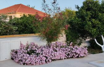 Villa Erasmia- House 1 ground floor - Foto 49