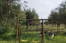 Lodge Rabasquinha - Photo 15