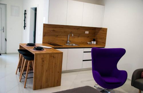 Apartments Lisinski - FREE parking - Foto 72