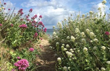 White Willows - Photo 20