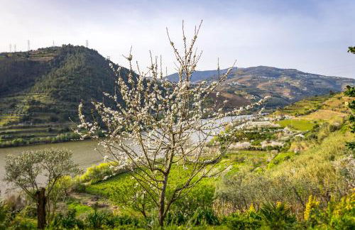 Fraga Douro House, Douro Valley - Foto 4