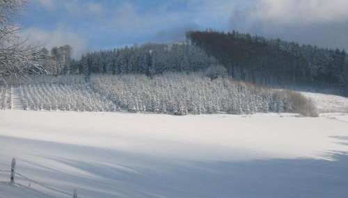Gasthaus Wollmeiner - Foto 5