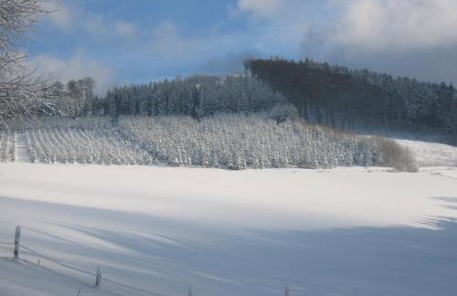 Gasthaus Wollmeiner - Foto 5