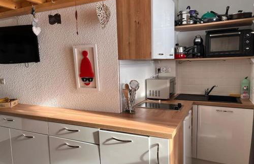 Front de neige PLAGNE VILLAGES Duplex 6 pers 2 ch ski aux pieds exposé SUD 2050 m - Foto 24