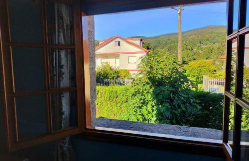 LA CAMELIA - Foto 28