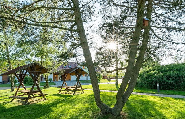 WaldResort - Am Nationalpark Hainich - Foto 19