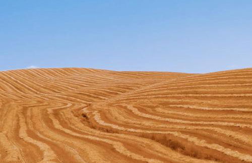 La casa di Elvira - Foto 39