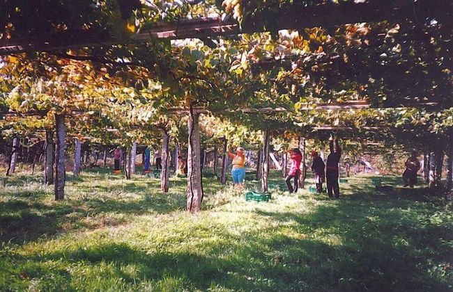 Os Areeiros - Foto 32