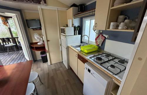 Salamandre - Foto 29