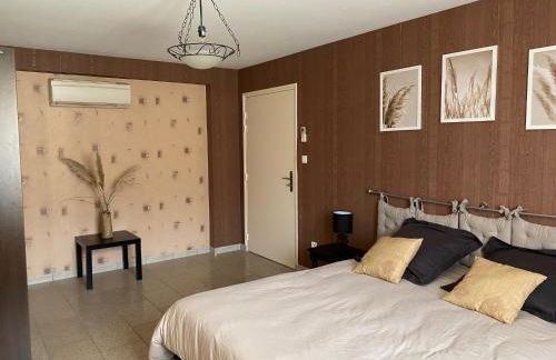 Domaine de la Noiseraie - Foto 15