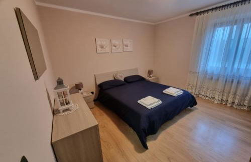 Stella alpina - Foto 7