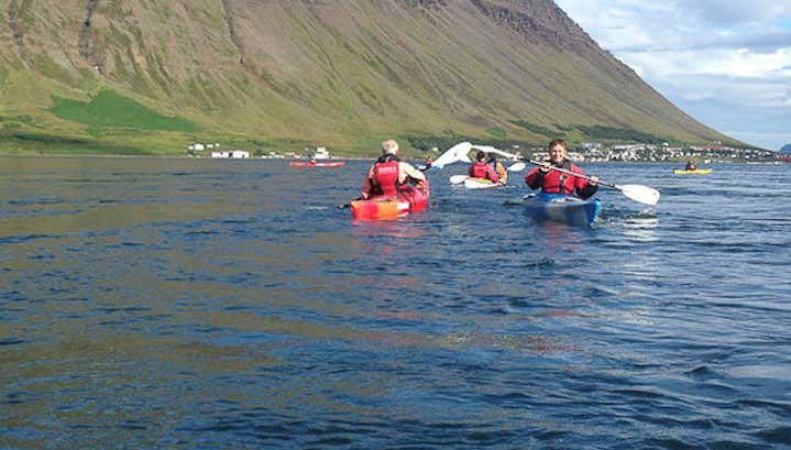 Tour de bicicleta e caiaque pelos Westfjords