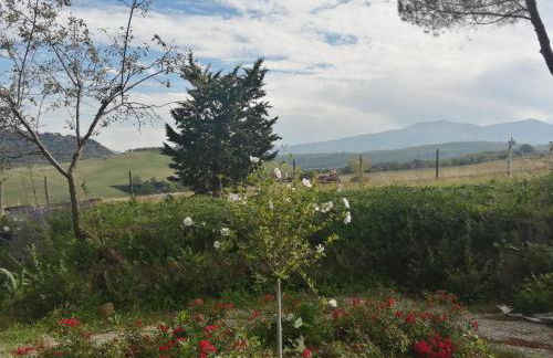 Podere Stabbiatelli - Foto 6