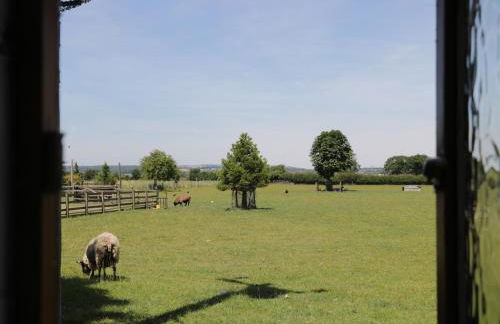 Chestnut Cottage - Foto 9