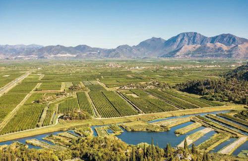 Villa with with 5 apartments in Peracko Blato - Foto 18