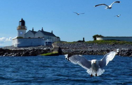 Tramway Cottages - Photo 77