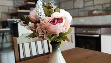 Große Reblaus - Wohnen im Weinberg in der Toskana des Nordens - Foto 5