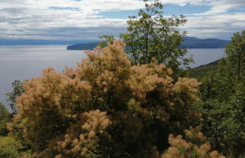 Diana Apartman - Photo 68