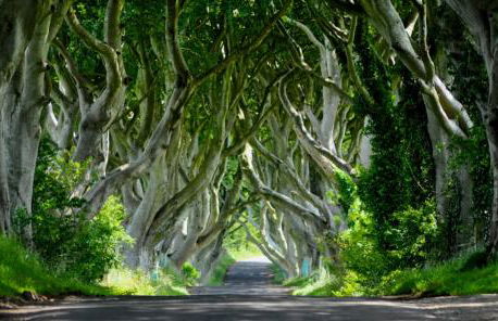 Cosy Loft Apartment - Foto 17