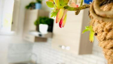 Suite La Corte - Foto 4