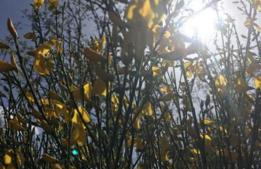 Apartamentos El Capricho - Foto 32