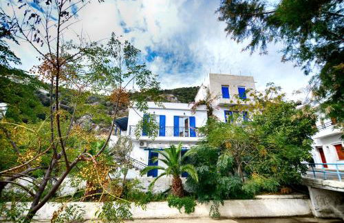 Plumeria Flowery - Foto 19