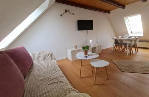 Studio Apartment for 1-2 People with Rhine View - Foto 8