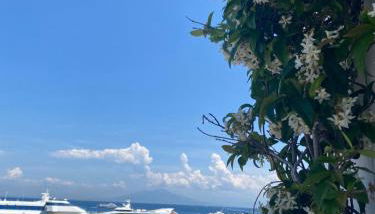 La Baia di Napoli - Foto 2