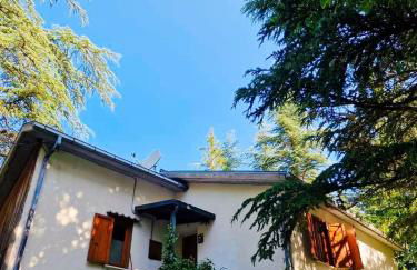 La Stella Alpina - Photo 24