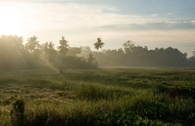 Romantic Honeymoon Villa Overlooking Rice Fields - Foto 32